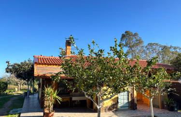 L'Uliveto HOLIDAY HOUSE - Photo 39