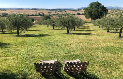 Tenuta dei Mori-Wine Relais Events - Foto 11