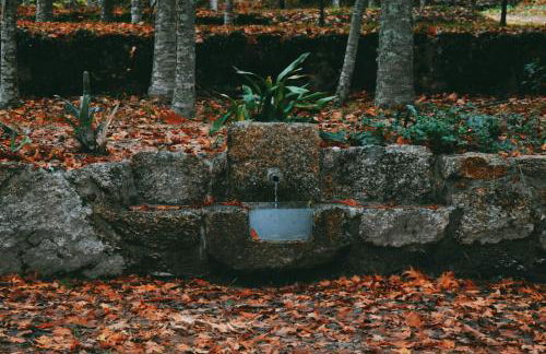 Quinta das Fontes - Alojamento Rústico Local e Turismo Rural - Foto 25