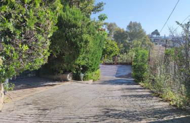 Los Cipreses - Photo 33