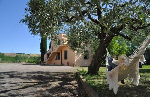 Adamasseria - Foto 70