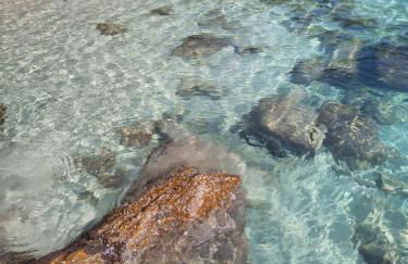 Casa com Praia no quintal - Foto 6