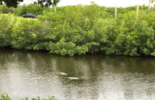 464 Little Harbor - Foto 18