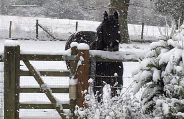The Old Apple Shed cosy heated cottage in a meadow close to the charming village of Bethersden - Foto 15