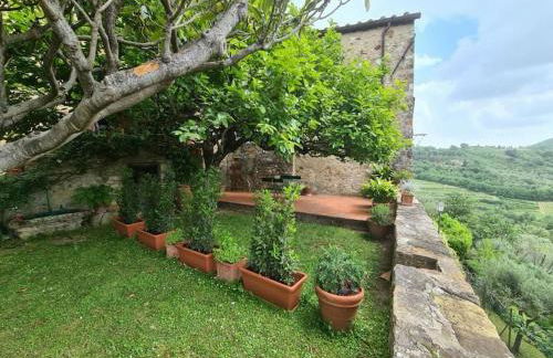 Il Rifugio nel Chianti, Montefioralle apartament - Foto 2