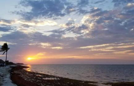 Beachfront paradise, heated pool and ocean view #9 - Foto 19