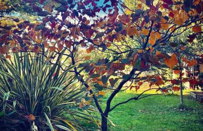 Studio Muret atypique - Foto 9