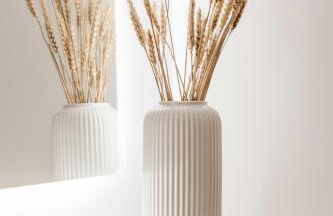 JAMA Natur Pur, Freies Parken, Gruppe&Familie - Foto 63