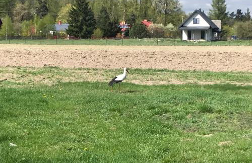 Domek Walentinki - Foto 40