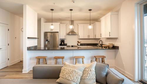 Piedmont Place Suite 401 Modern Apartment in Crozet Near King Family Vineyards - Foto 3