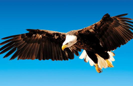 Palmitos Park - Foto 2