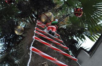 2 Zimmer Wohnung mit Garten - Foto 26