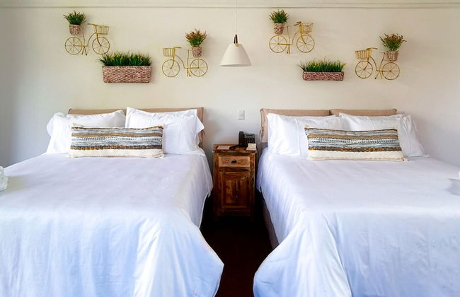 Finca San Cayetano - Photo 18