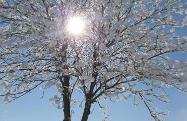 Stilvolle Ferienwohnung im Eichsfeld - Foto 46