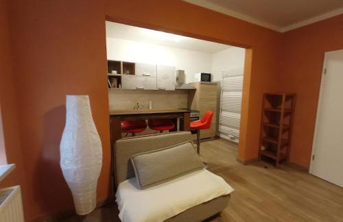 kleine 1-Raum-Ferienwohnung mit hohem Komfort - Foto 1