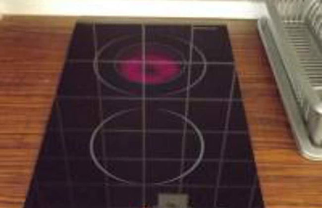 Cozy Apartment 16 With Double bed Sleeper Couch - Photo 14