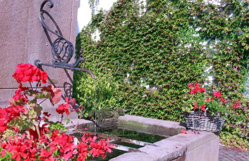 Ferienwohnung „Brot & Wein” - Foto 6