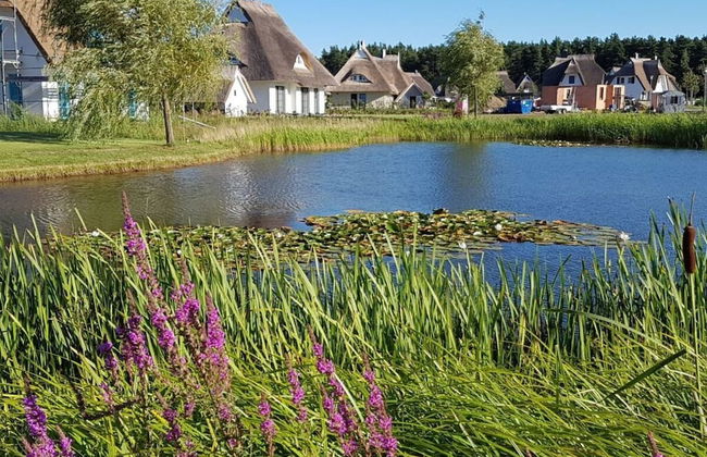 Seeschwalbe Modern Retreat - Foto 36