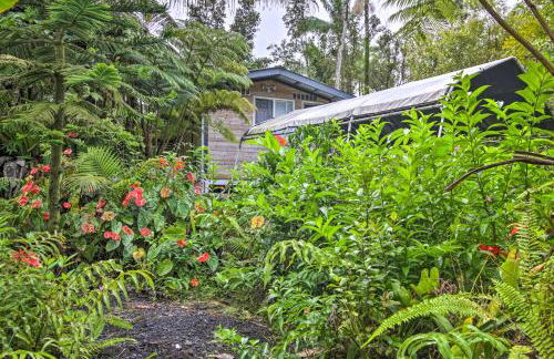 Idyllic Pahoa Paradise Hike, Swim and Explore! - Photo 22