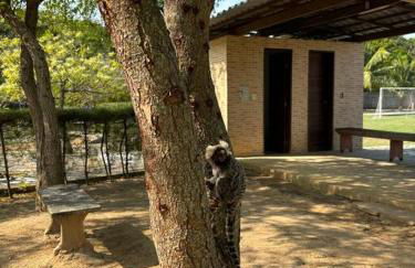 Bangalô 5 Dorms - Victory Lucena - Photo 20