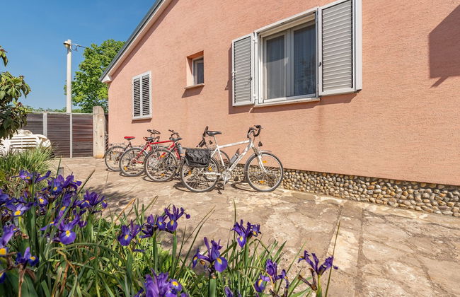 Villa Štrkalj - Foto 42