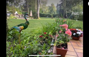 Fun Franz for 6 Persons - Foto 63