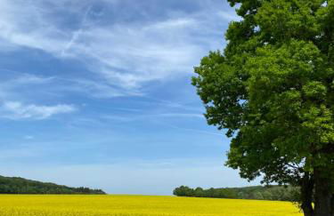 Alb Panorama Residenz - Foto 37