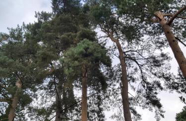 Chauffeur's, Snape - Foto 23