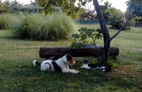 Apartment Greta - Photo 2