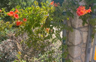 Villa Matovica - Photo 75