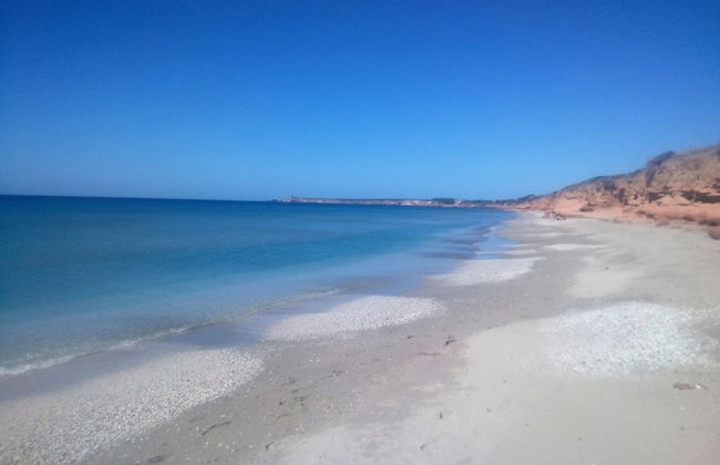 Studio Facing the sea Funtan Meiga - Photo 12