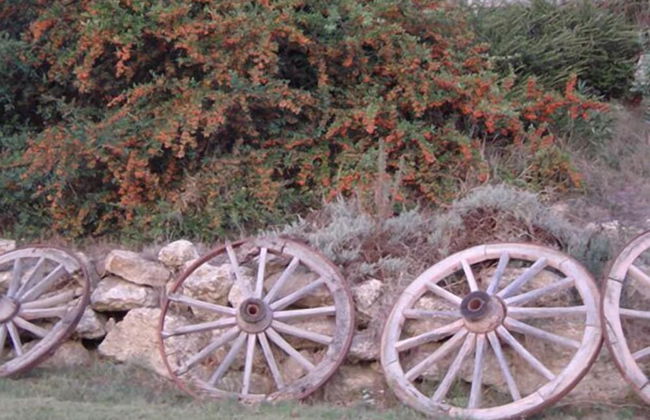 La Vecchia Fattoria - Foto 36