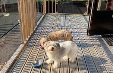 Corrie Lodge, Glendevon - Foto 36