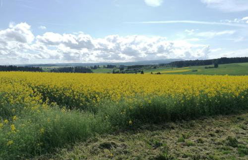 Ferienwohnung Hasenfratz - Foto 7