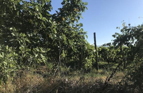 Villa lavanda - Foto 45