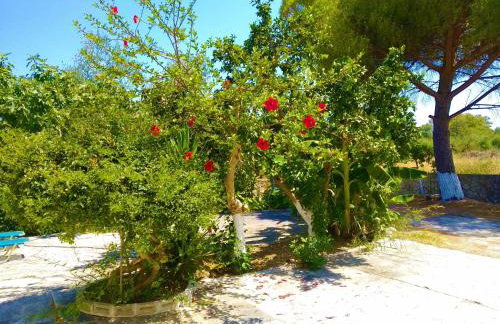 Blue Studios by Irene - Photo 14