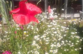 Ferienhaus Harzer Bauernhof - Foto 6