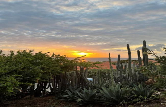Pool Villa Near Jan Thiel - Foto 38