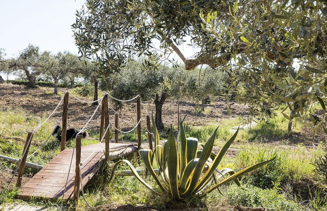 Agriturismo Baglio Vecchio - Foto 55