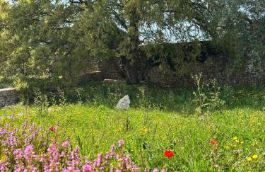 Trulli La Quercia del Nonno - Photo 1