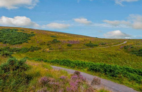 Creenagh's Cottage - Foto 30