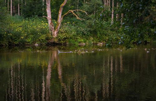 Ferienwohnung am Ilztal - Foto 28