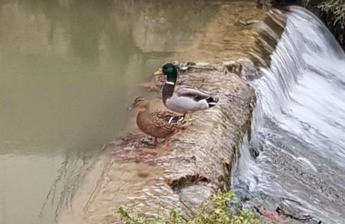 Ile du Gua Suites - Foto 24