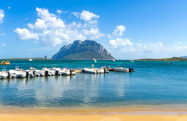 Piazzetta Villa La Vigna 30m From The Sea - Photo 19