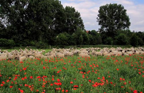 Ferienwohnung Unica im Lahntal - Photo 32