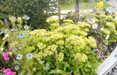 Stones Throw Lodge - Foto 32