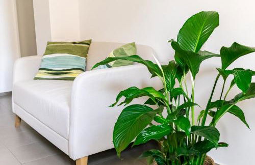 Maison Davià - Photo 6