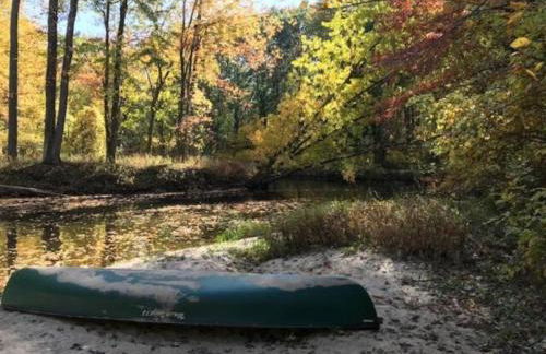 Cabin Surrounded by Sublime Nature near Lake Huron, Michigan - Foto 13