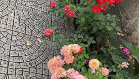 Casa delle Rose - Foto 2, Garden view