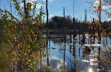 Ferienwohnung Mohr - Foto 28